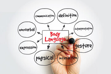 Body Language Basics