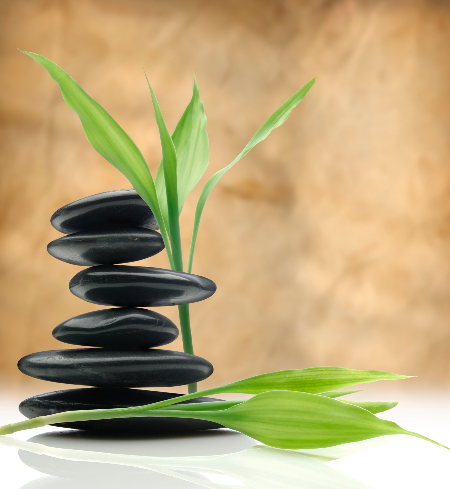 Health and Wellness at Work